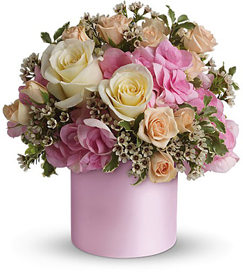 Teleflora's Blushing Beauty